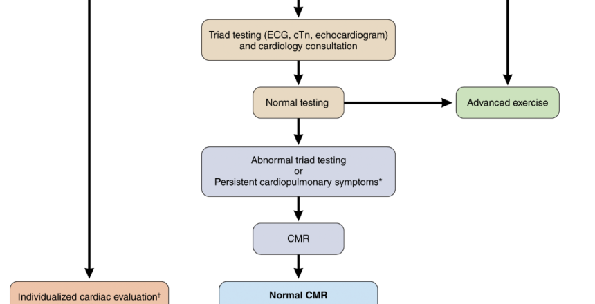 Screenshot 2025-07-03 at 5.47.04 PM